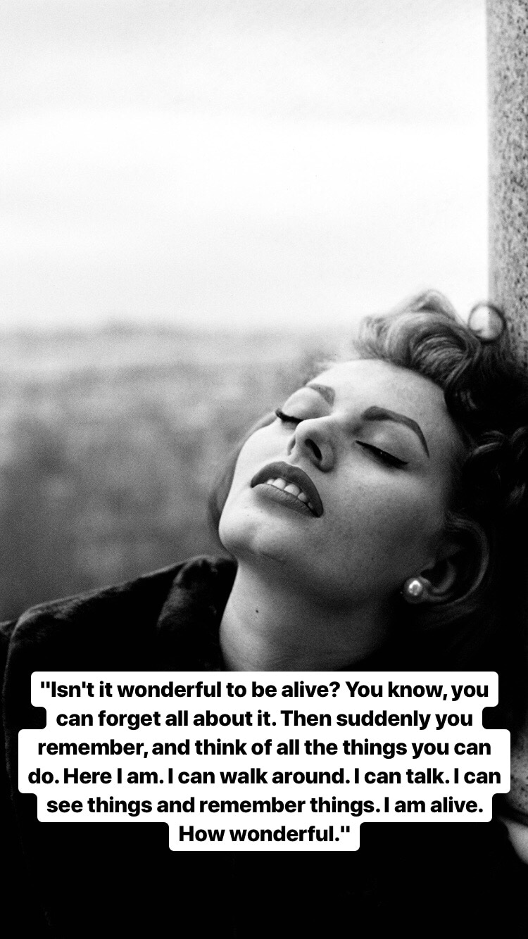 Photo of Sophia Loren