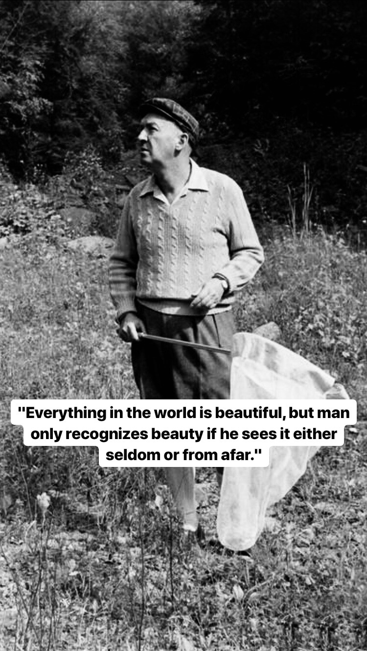 Photo of Vladimir Nabokov