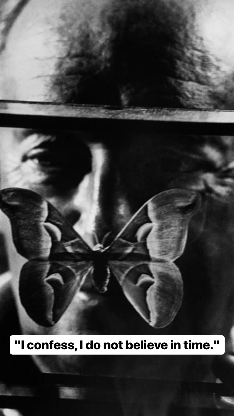 Photo of Vladimir Nabokov