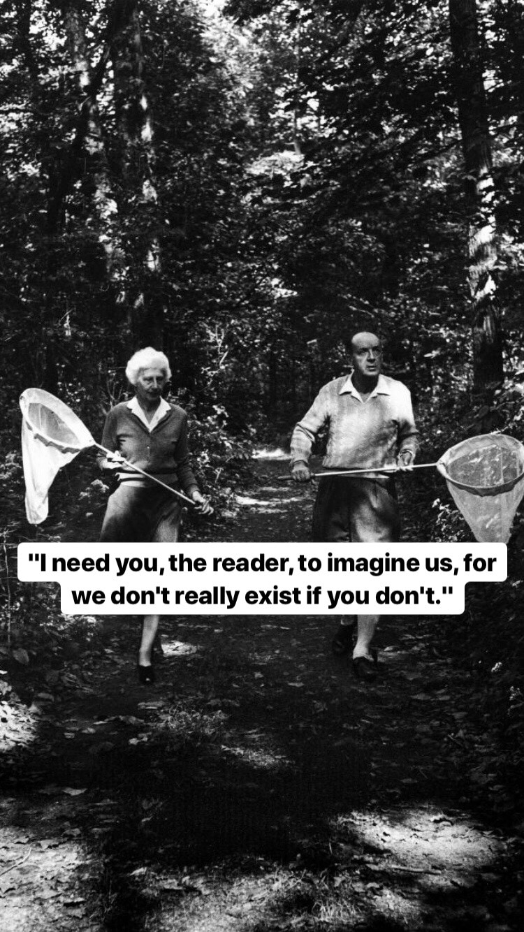 Photo of Vladimir Nabokov