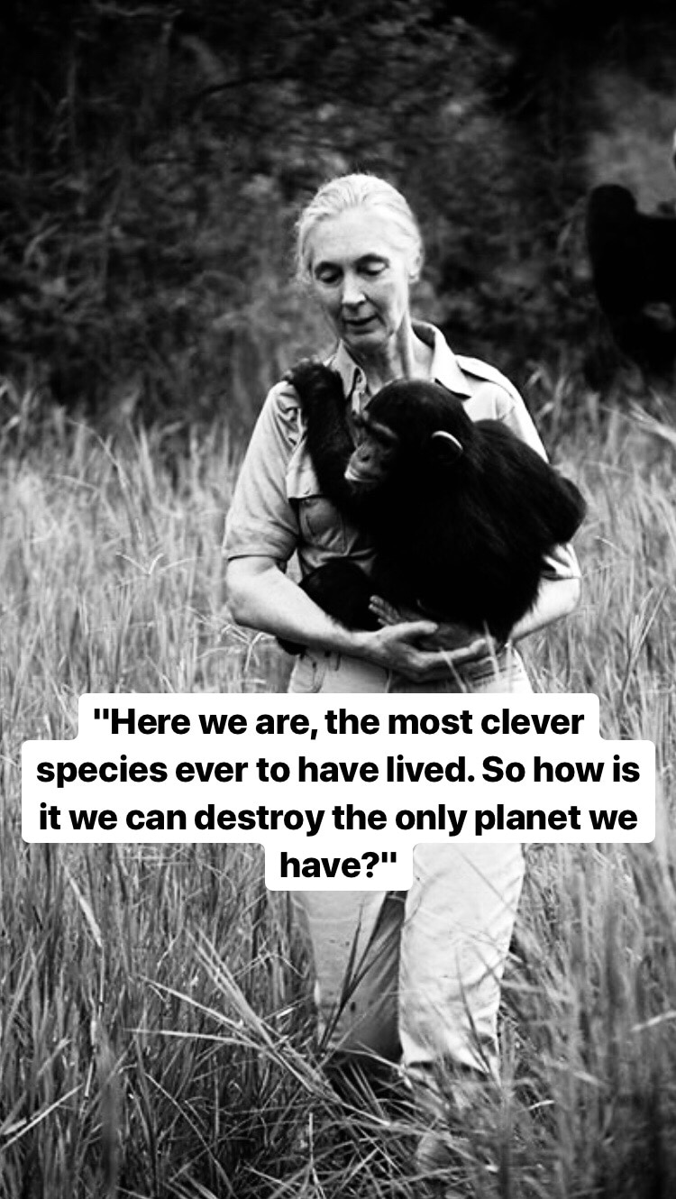 Photo of Jane Goodall
