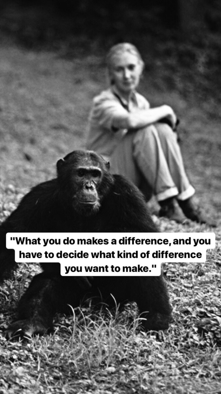 Photo of Jane Goodall