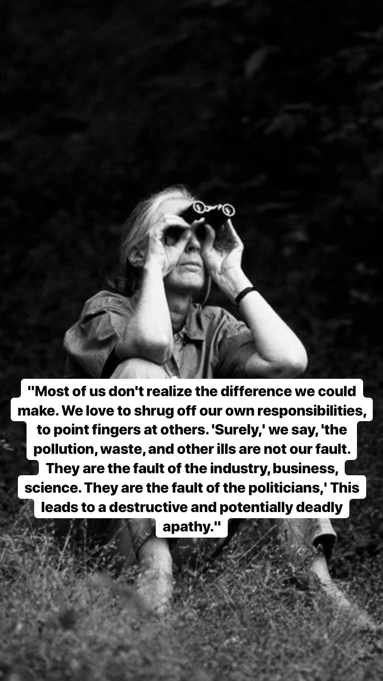 Photo of Jane Goodall