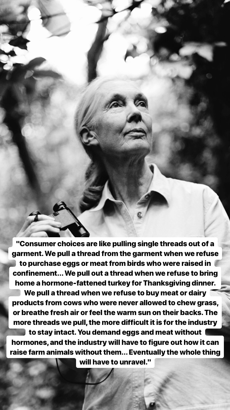 Photo of Jane Goodall