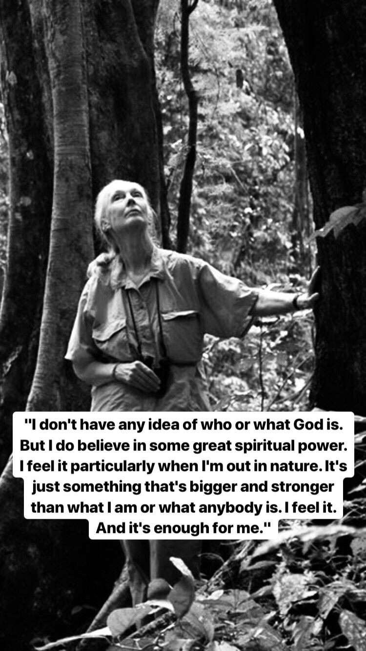 Photo of Jane Goodall