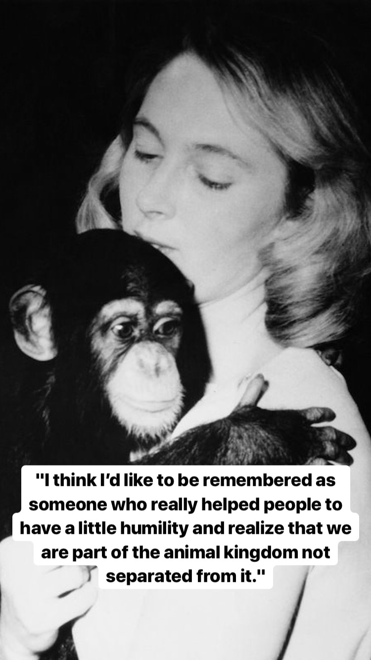 Photo of Jane Goodall