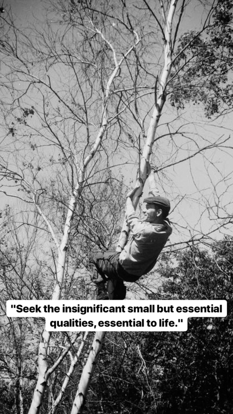 Photo of Jonas Mekas