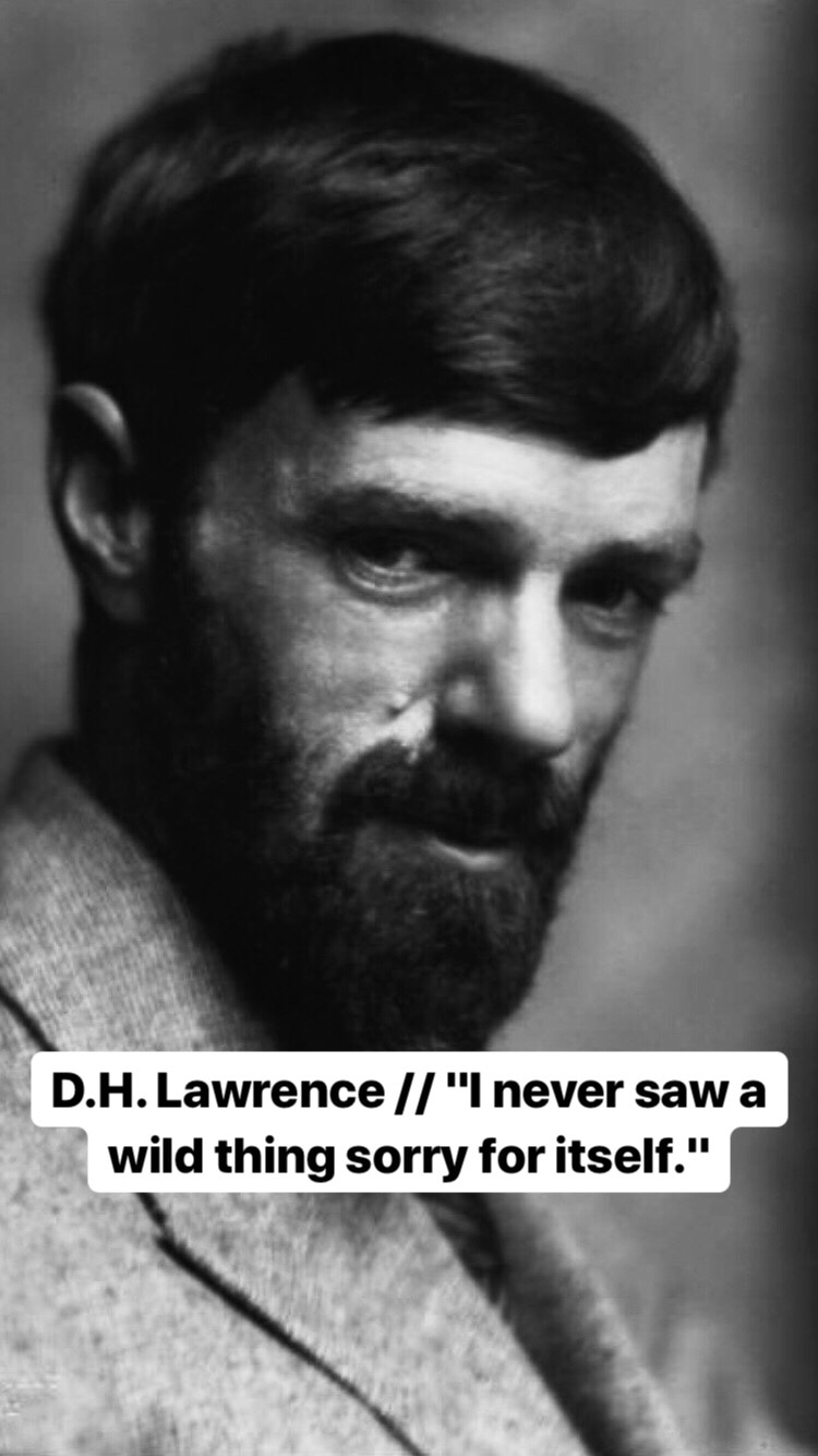 Photo of D.H. Lawrence