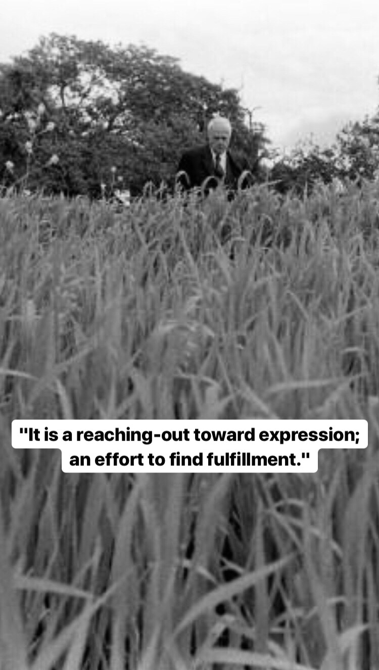 Photo of Robert Frost