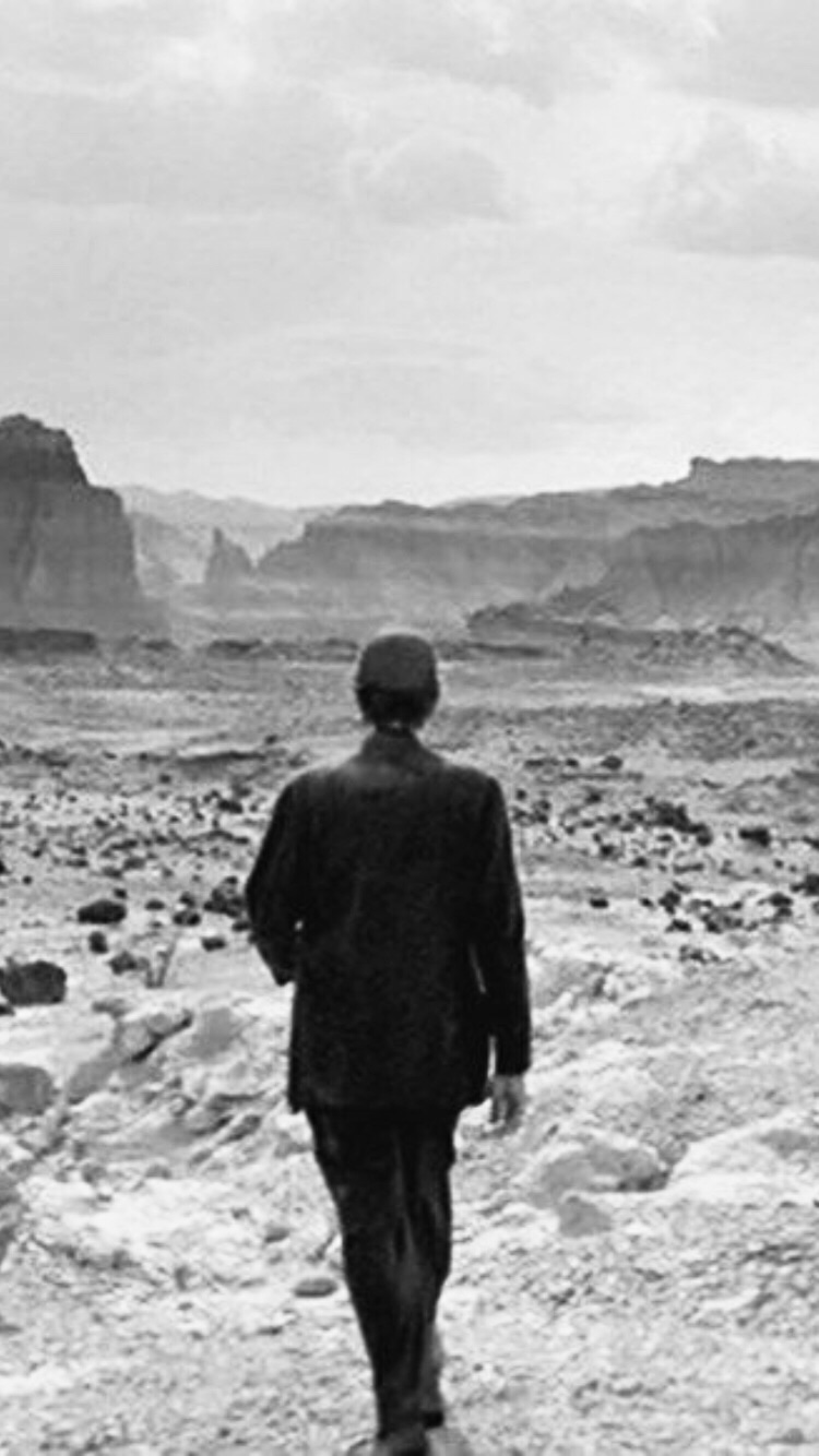 Photo of Harry Dean Stanton