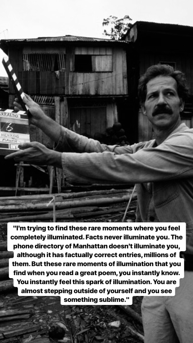 Photo of Werner Herzog