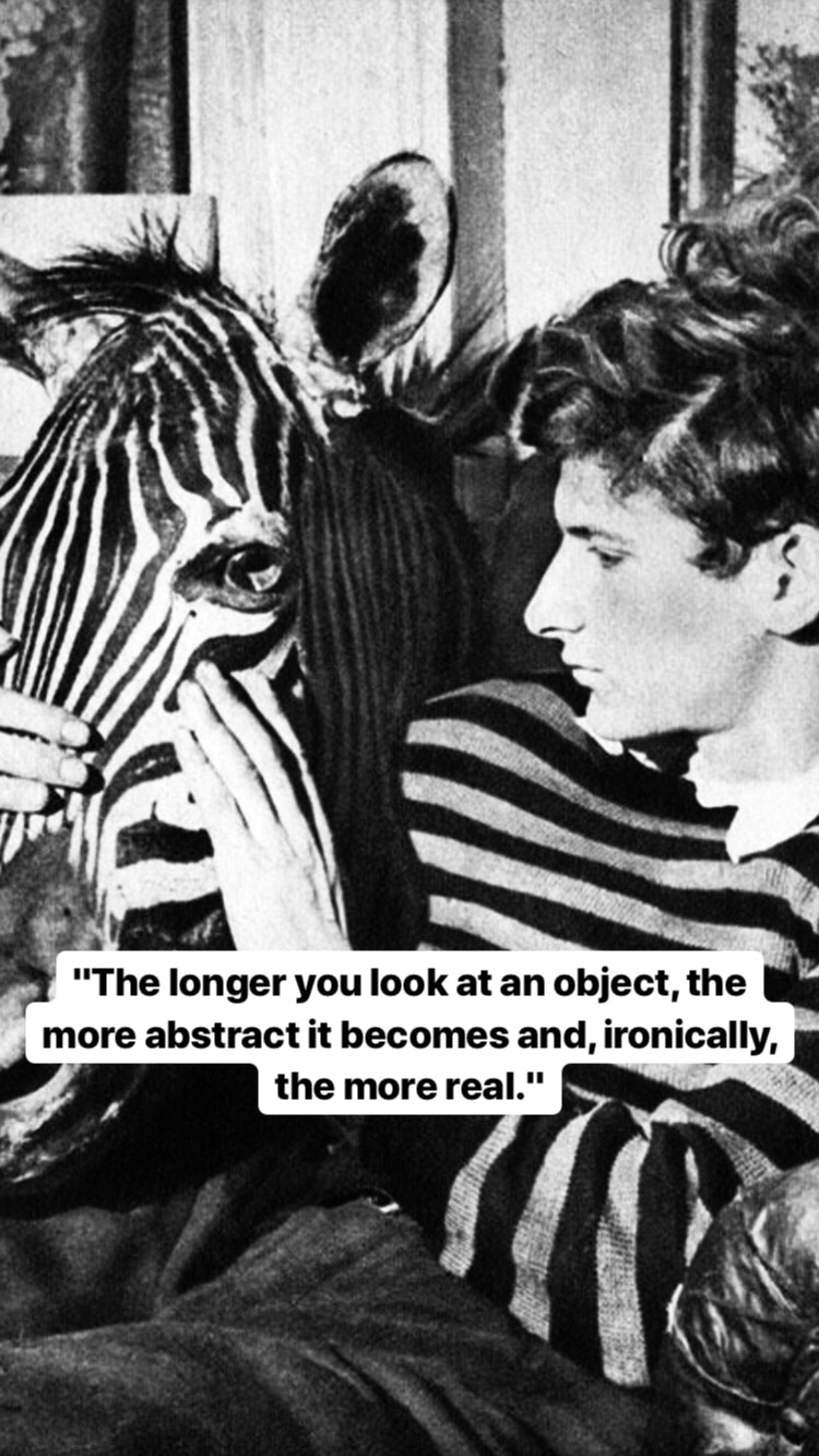 Photo of Lucian Freud