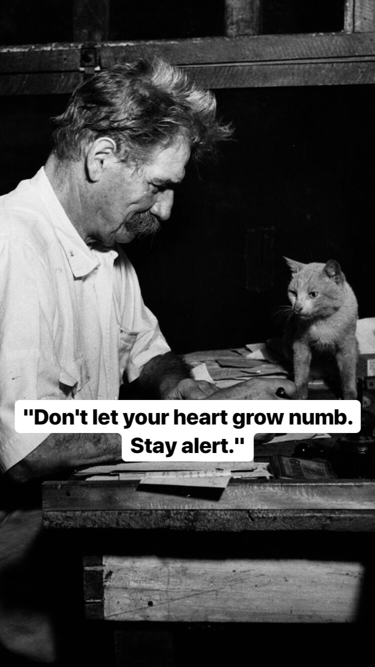 Photo of Albert Schweitzer