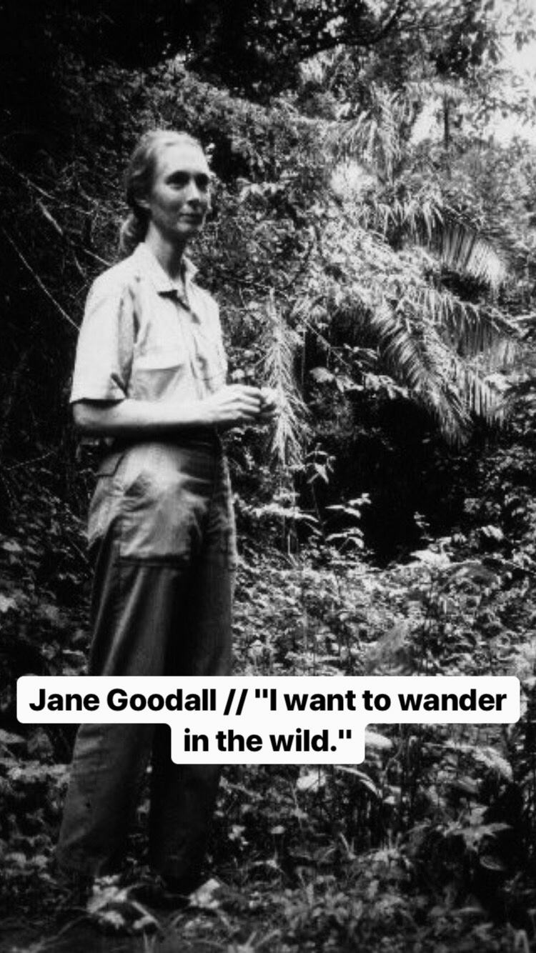 Photo of Jane Goodall