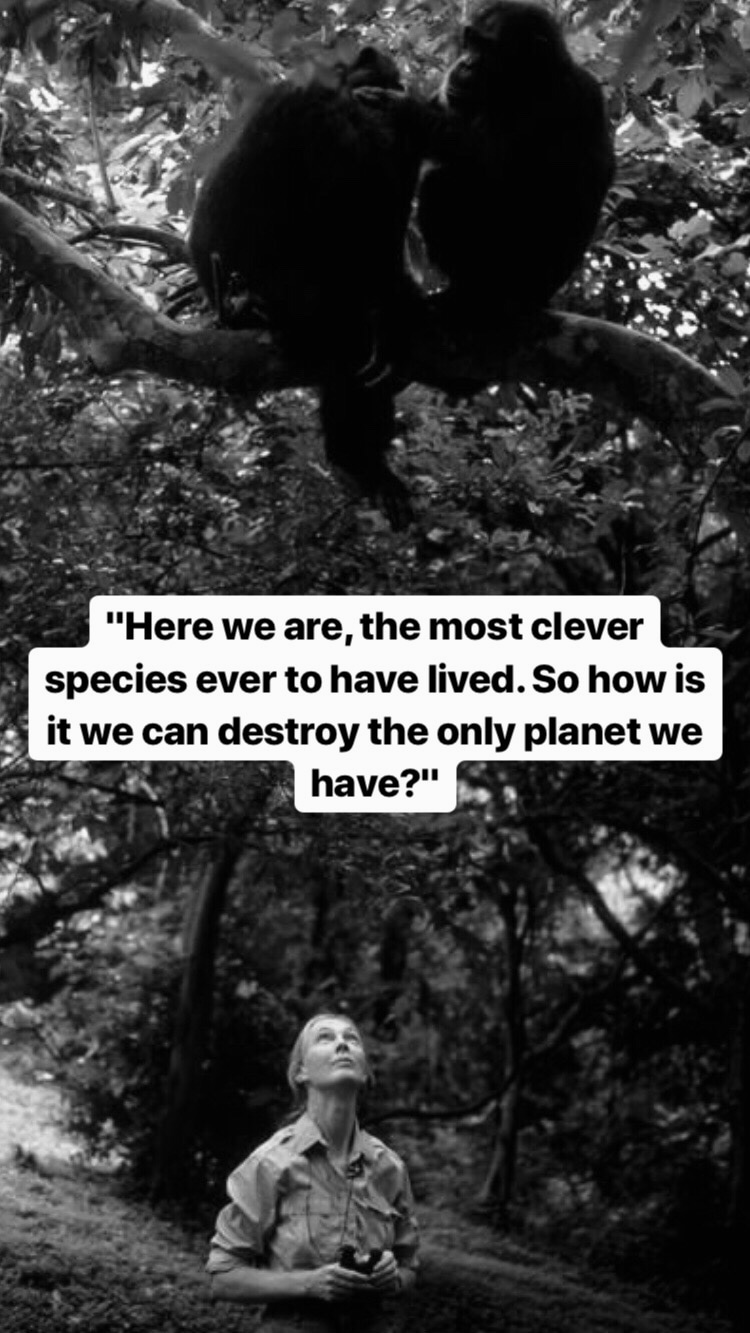 Photo of Jane Goodall