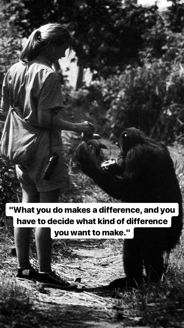 Photo of Jane Goodall