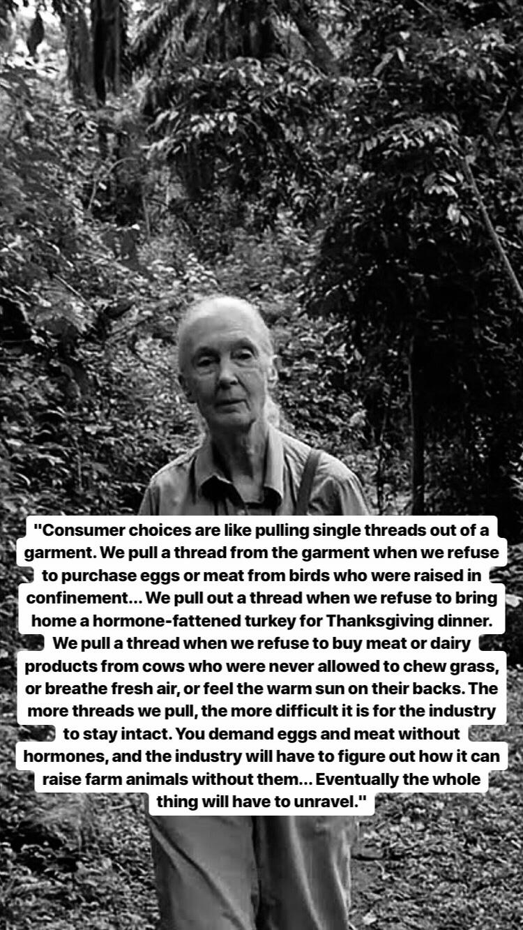 Photo of Jane Goodall