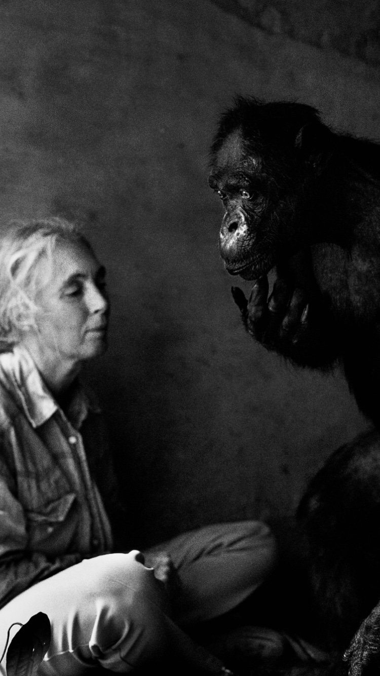 Photo of Jane Goodall
