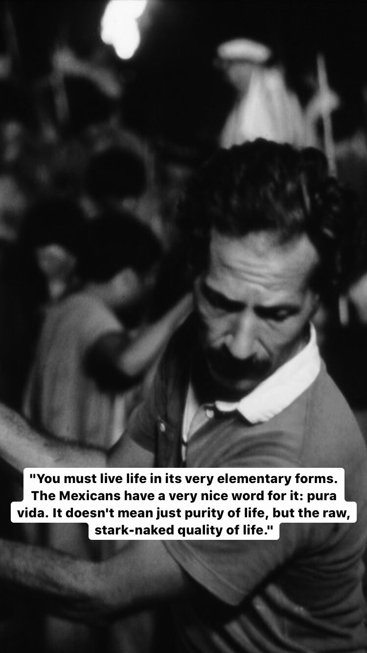 Photo of Werner Herzog