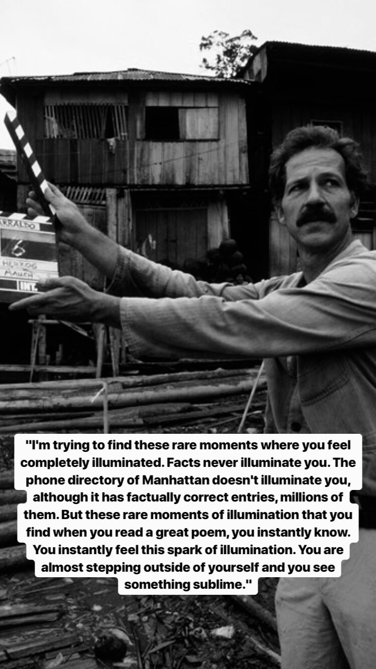 Photo of Werner Herzog