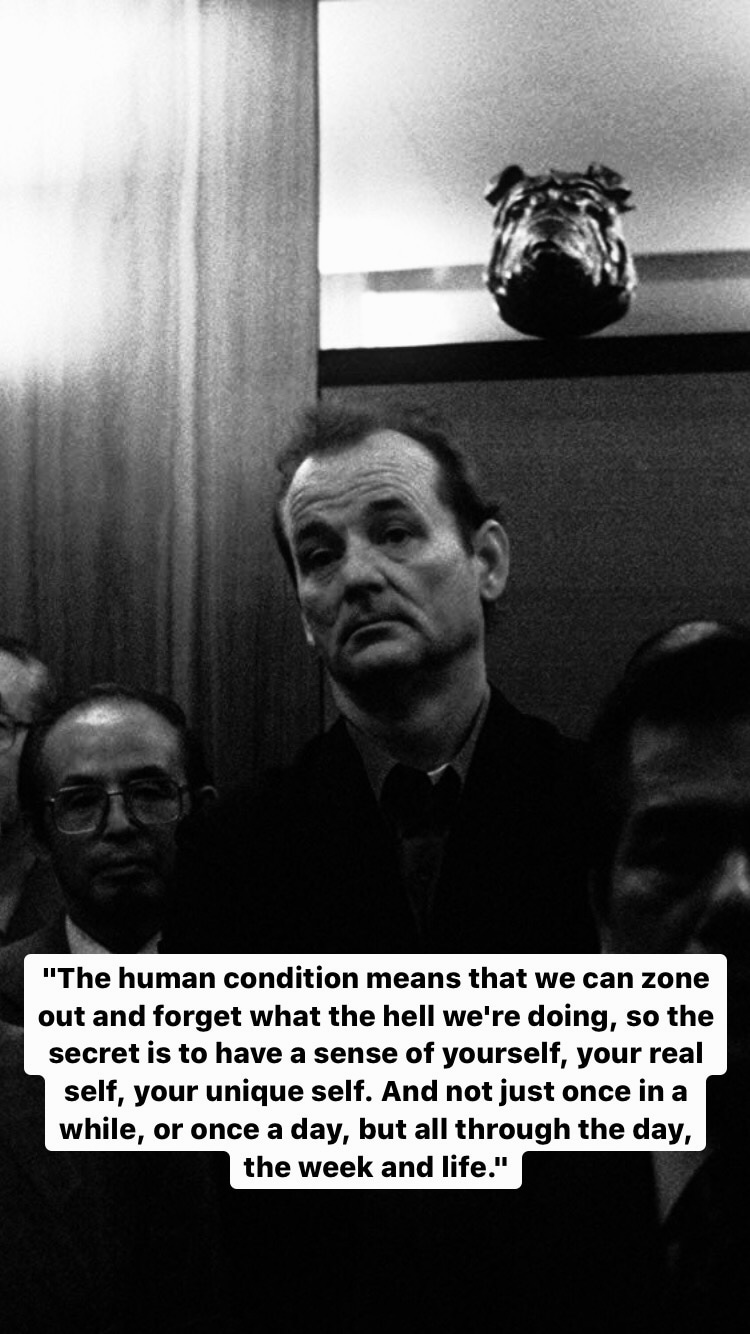 Photo of Bill Murray