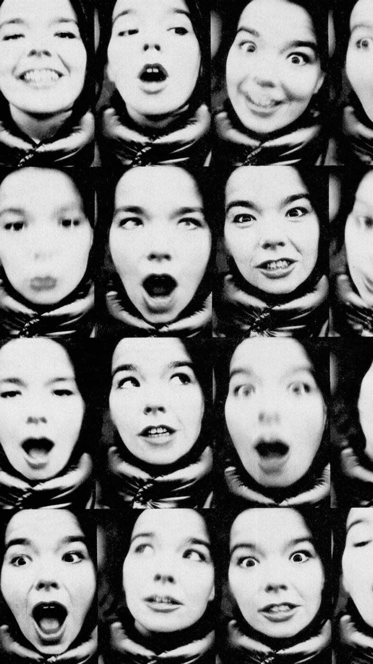 Photo of Björk