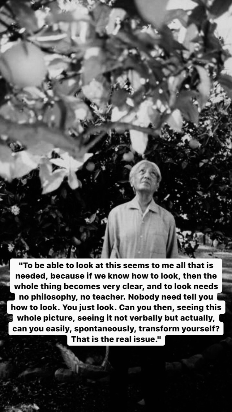 Photo of J. Krishnamurti