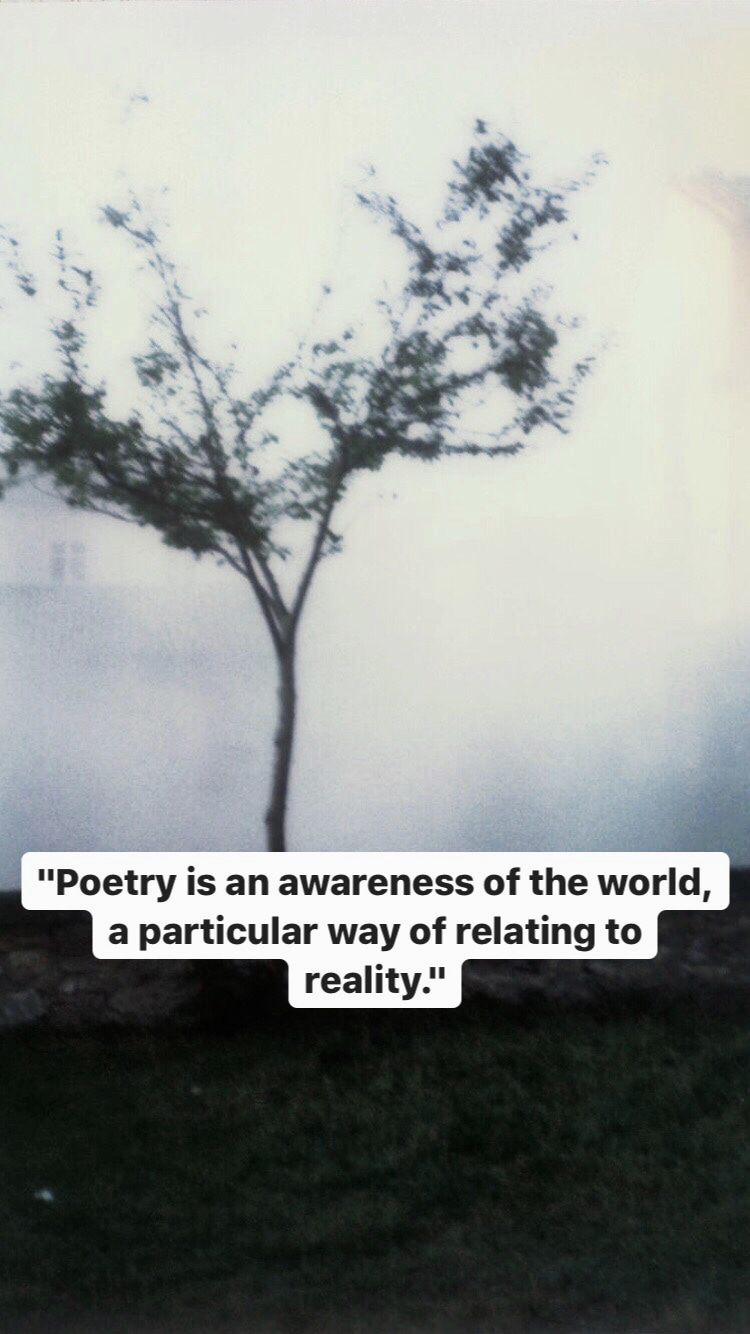 Photo of Andrei Tarkovsky