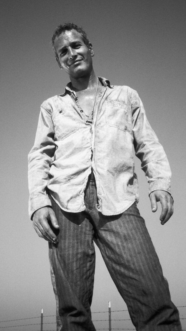 Photo of Paul Newman