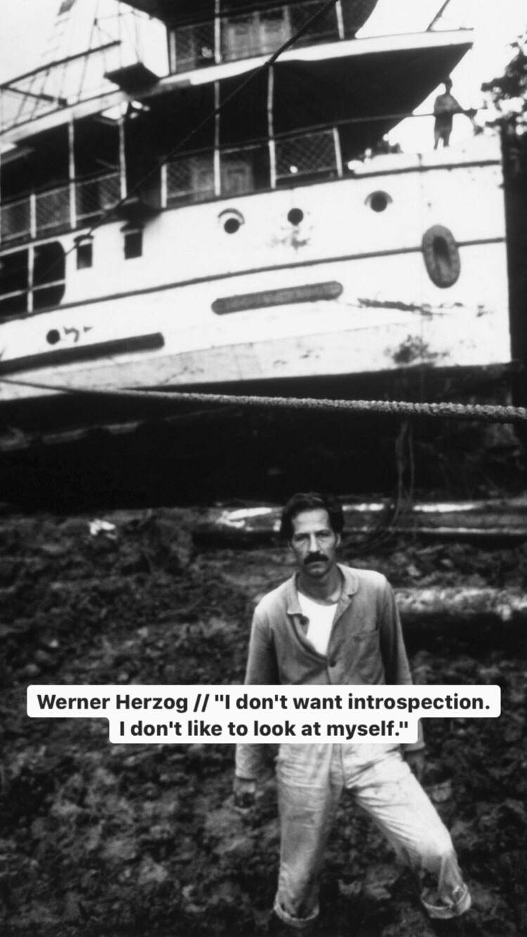 Photo of Werner Herzog