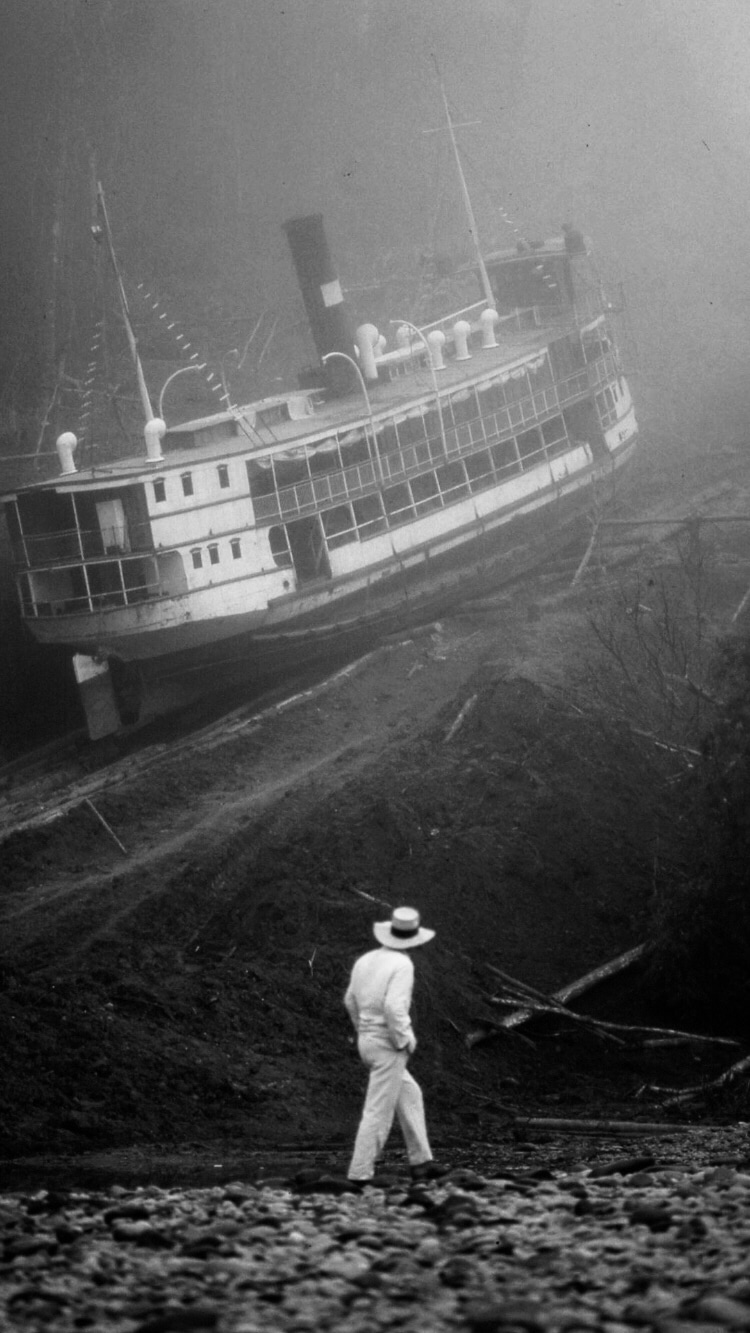 Photo of Werner Herzog