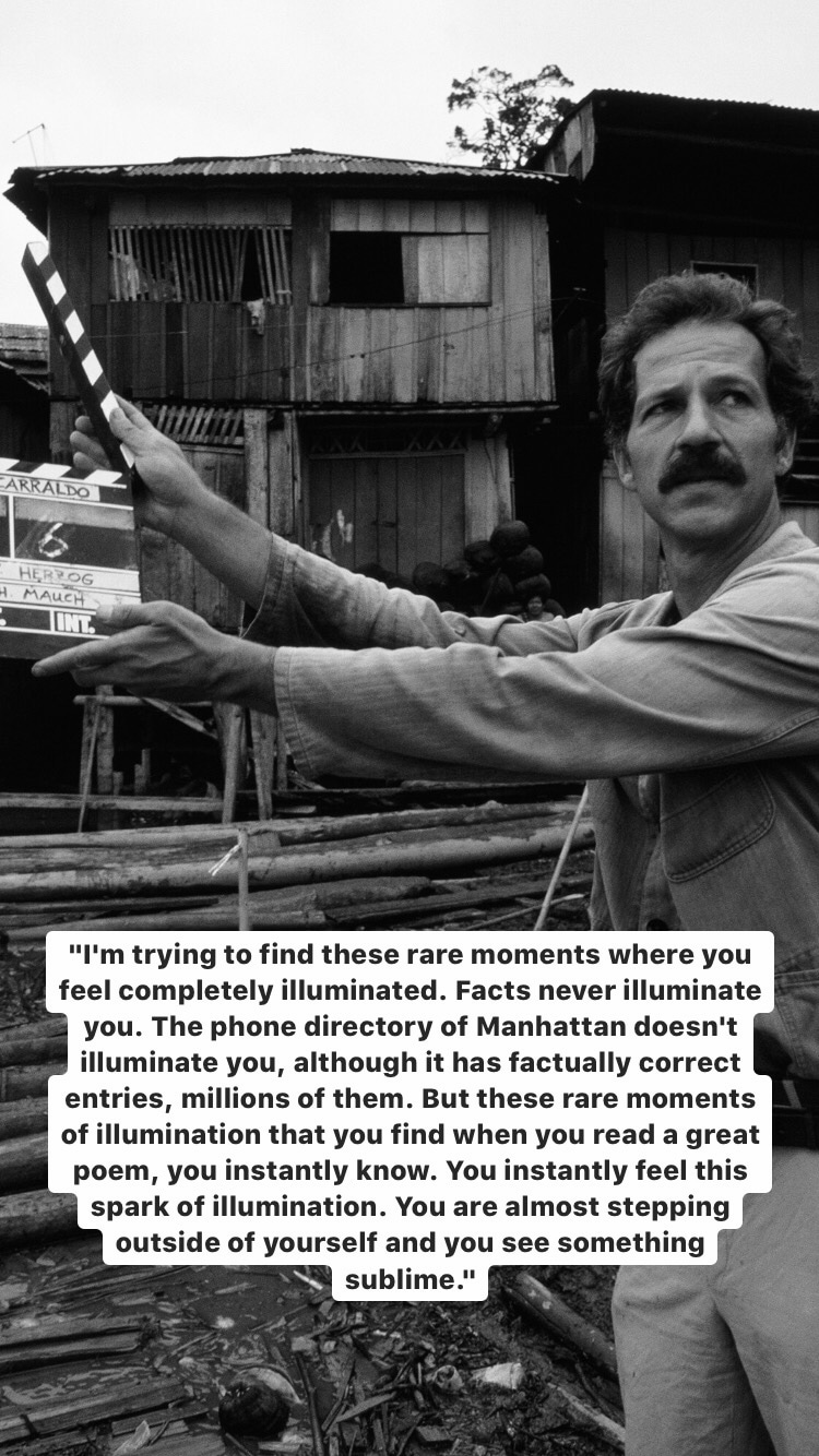 Photo of Werner Herzog