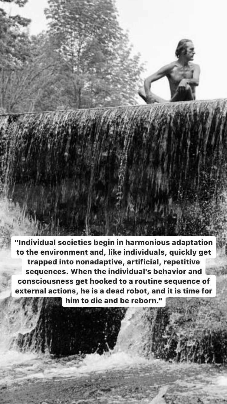 Photo of Timothy Leary