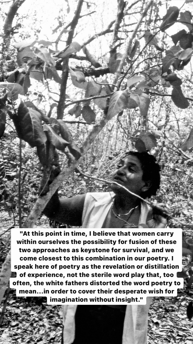 Photo of Audre Lorde