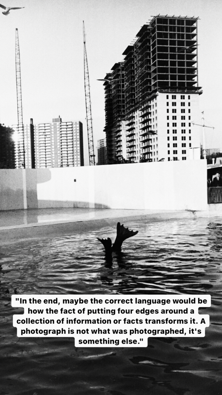 Photo of Garry Winogrand