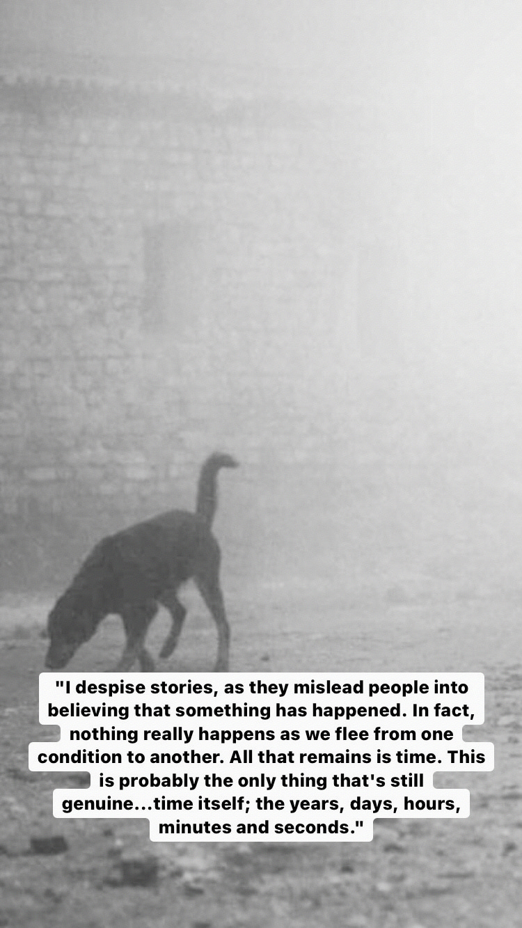 Photo of Béla Tarr