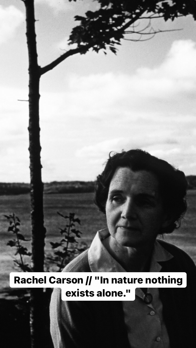 Photo of Rachel Carson