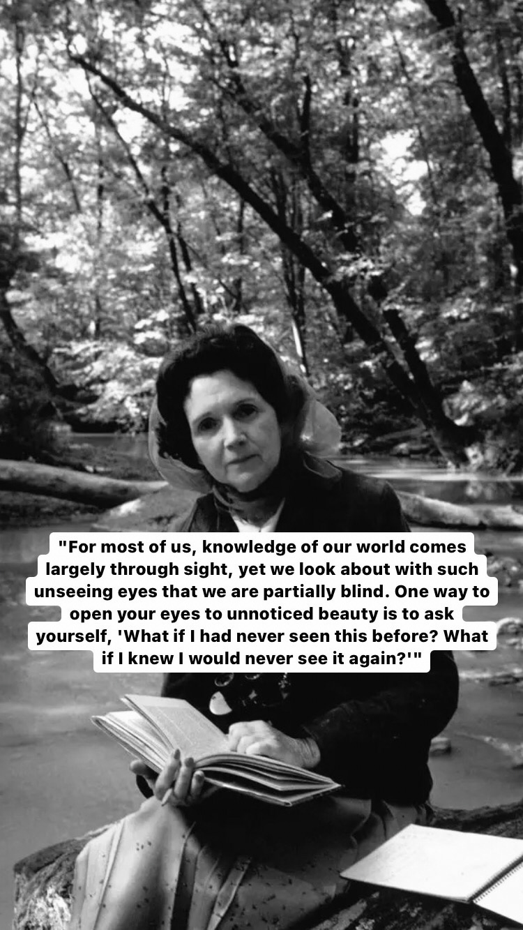 Photo of Rachel Carson