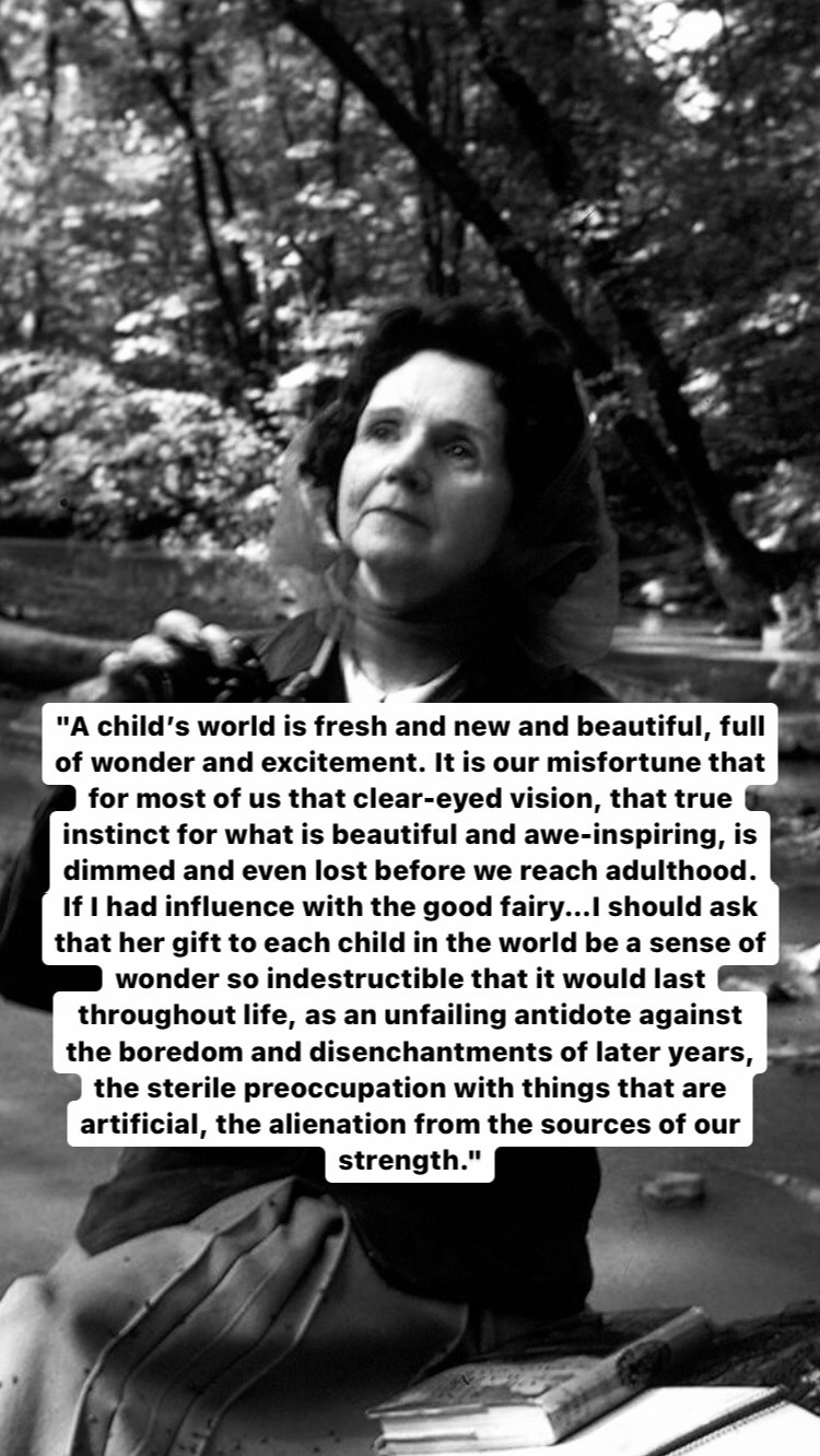 Photo of Rachel Carson