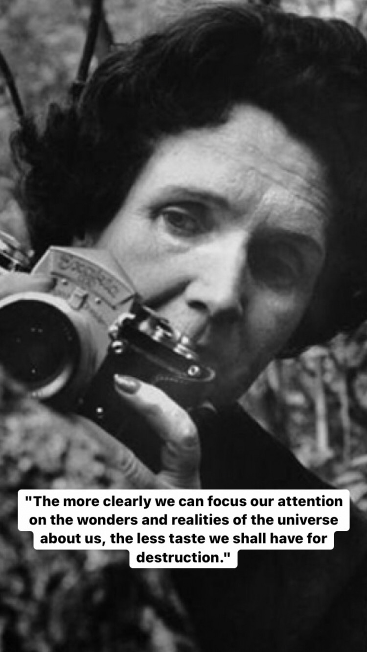 Photo of Rachel Carson