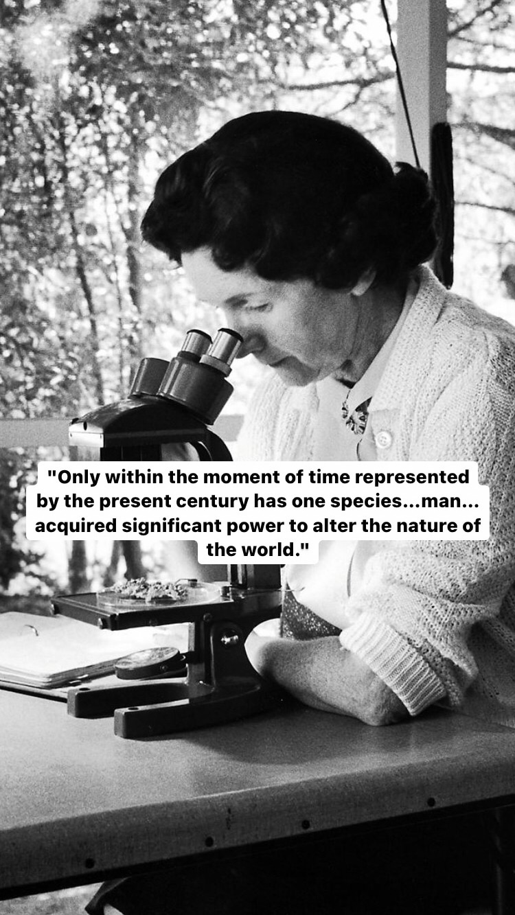 Photo of Rachel Carson