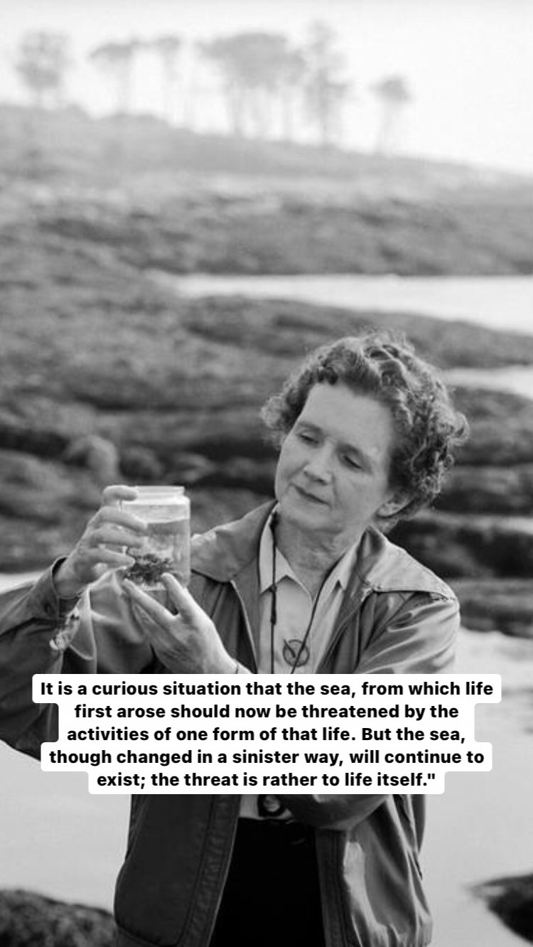 Photo of Rachel Carson