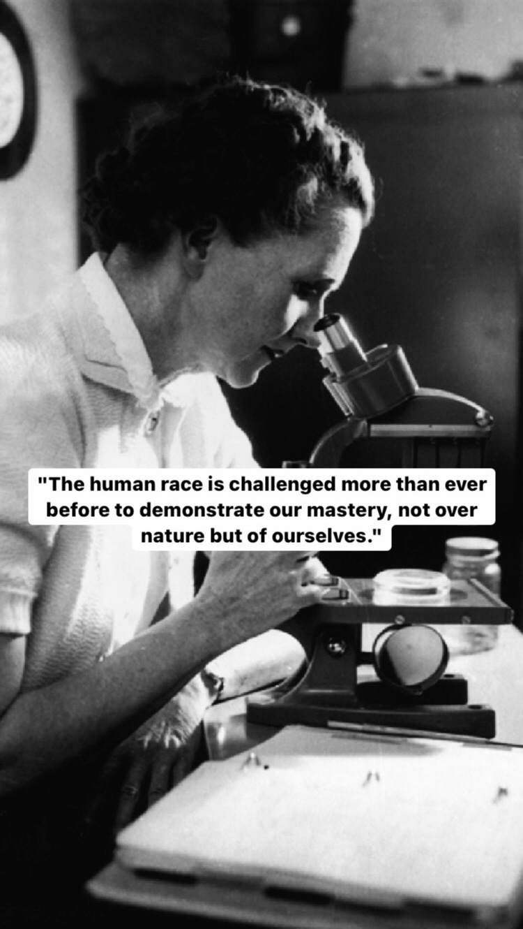 Photo of Rachel Carson