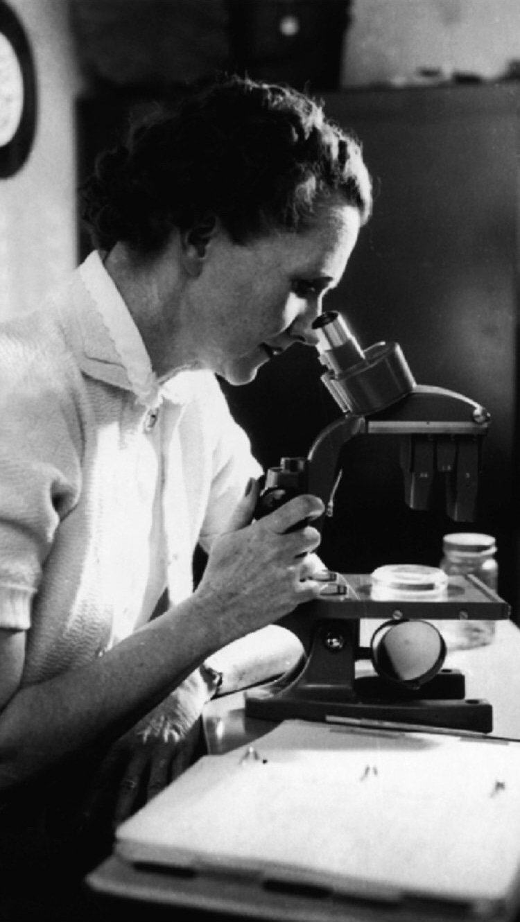 Photo of Rachel Carson