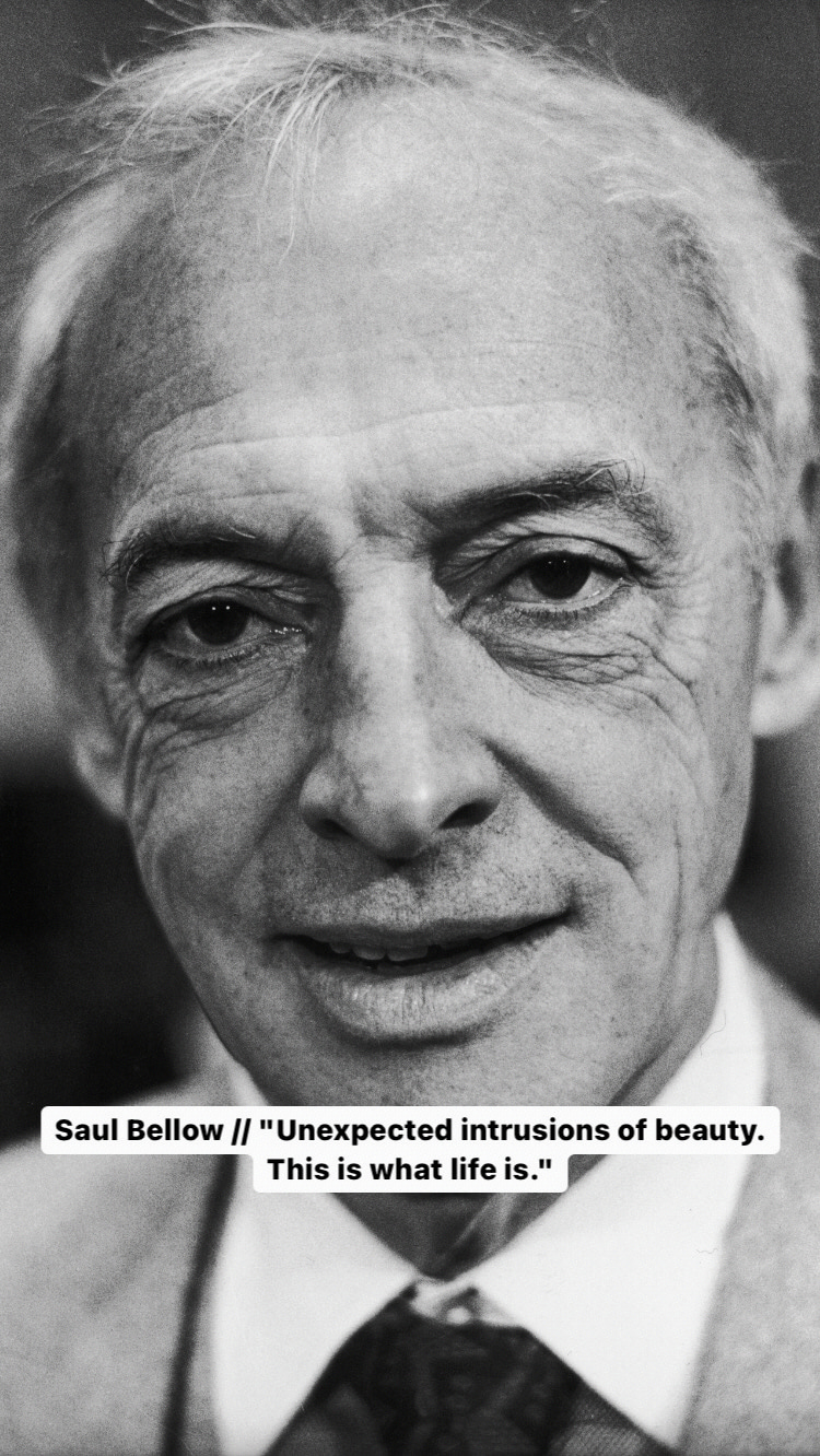 Photo of Saul Bellow