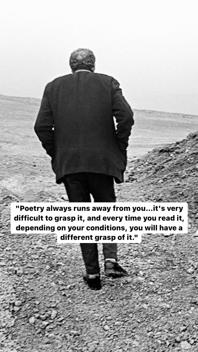 Photo of Abbas Kiarostami