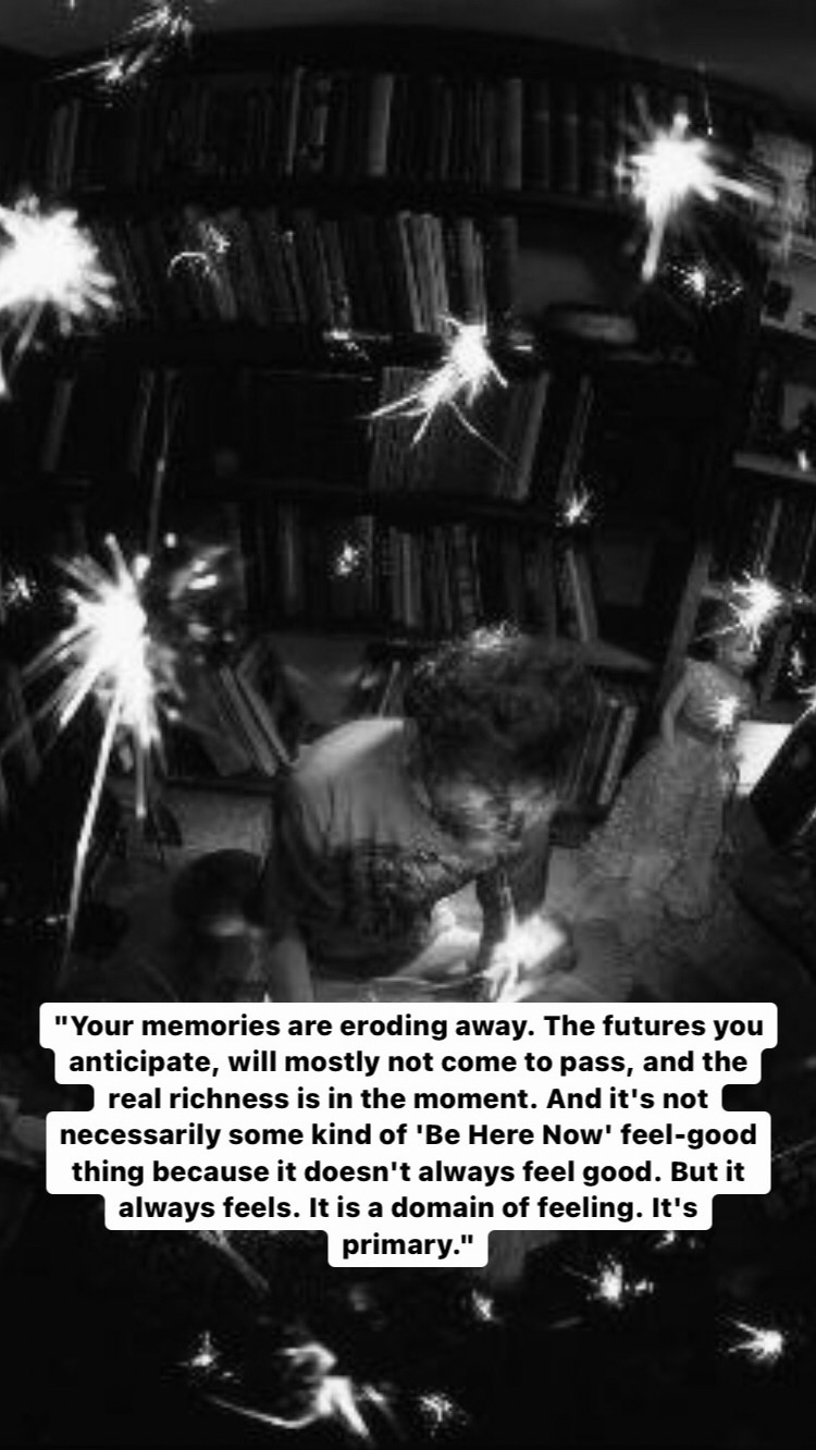 Photo of Terence McKenna