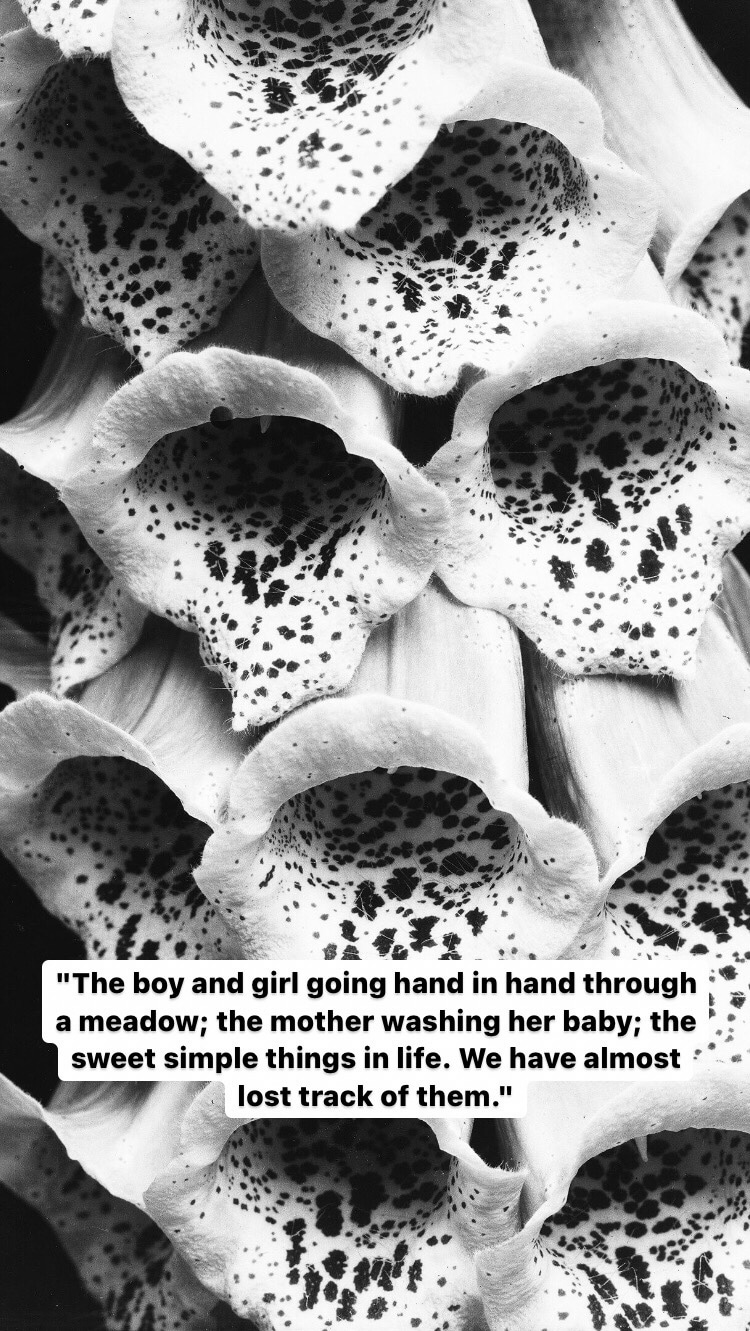 Photo of Edward Steichen