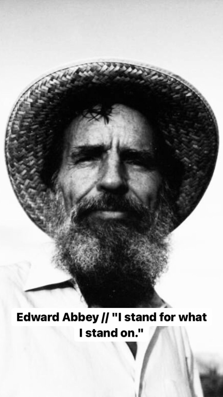 Photo of Edward Abbey