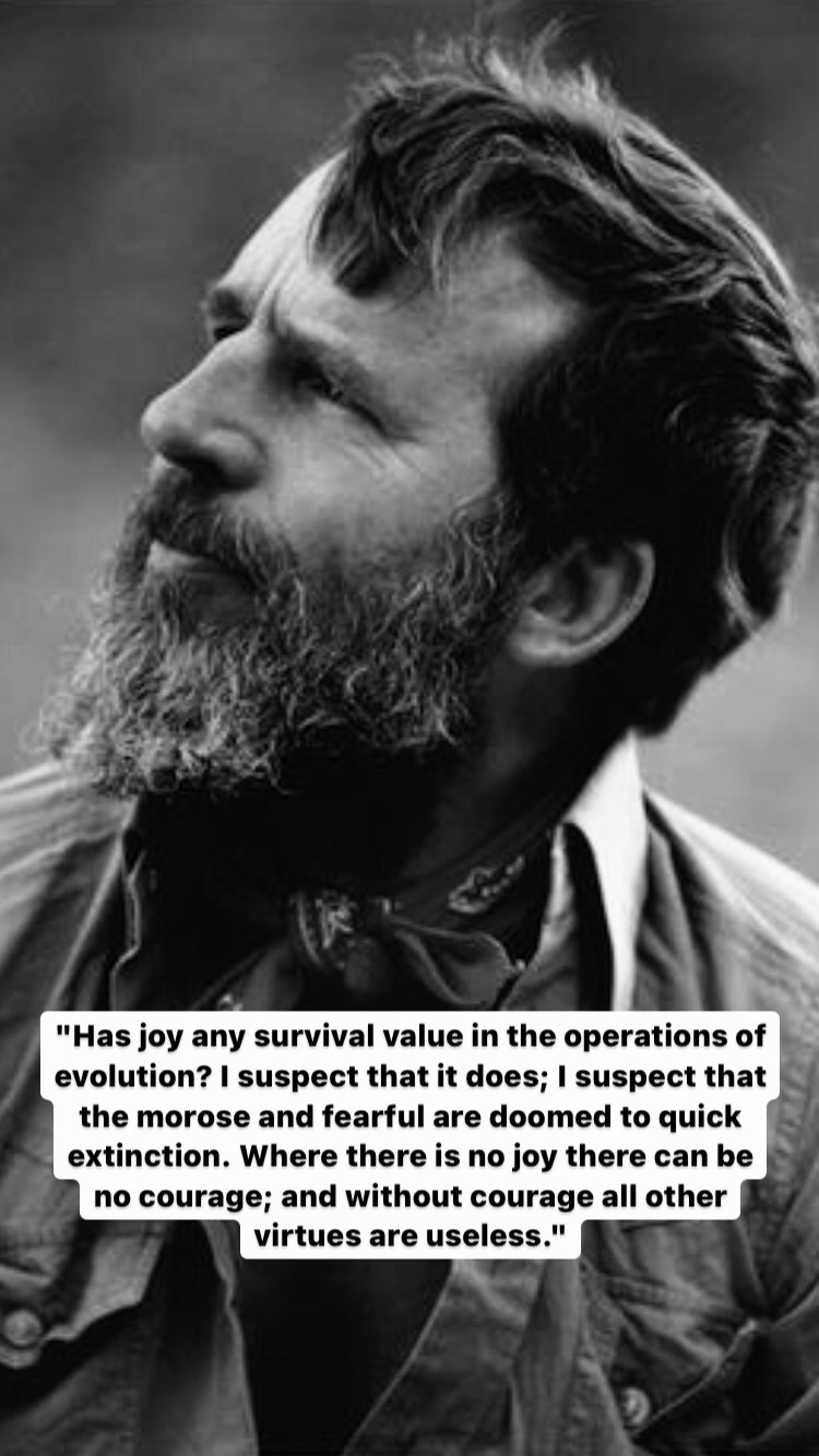 Photo of Edward Abbey